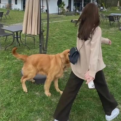 千寻小姐